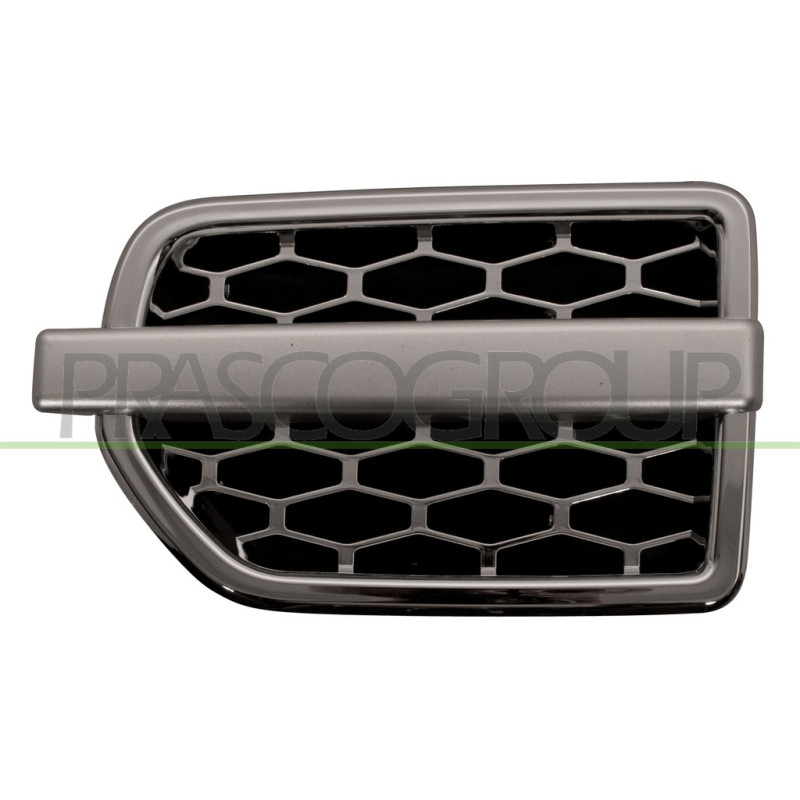 Grille argent d'aile avant côté chauffeur