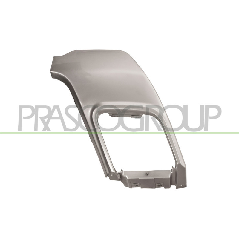 Moulure argent de pot d'échappement côté passager