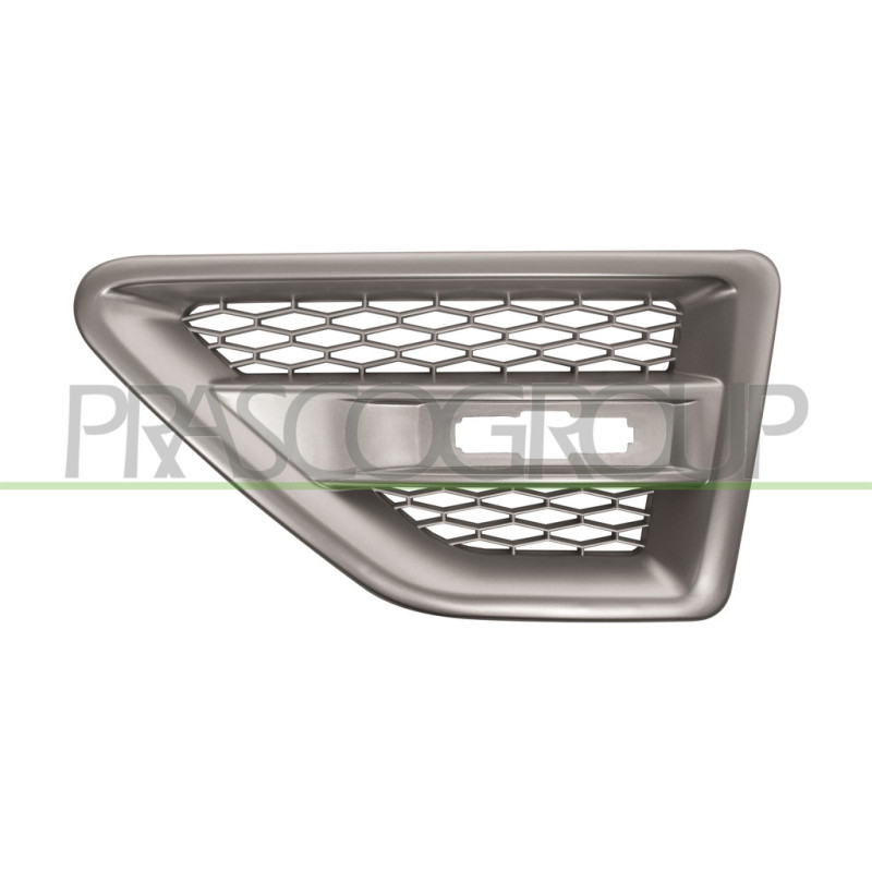 Grille argent d'aile avant côté chauffeur