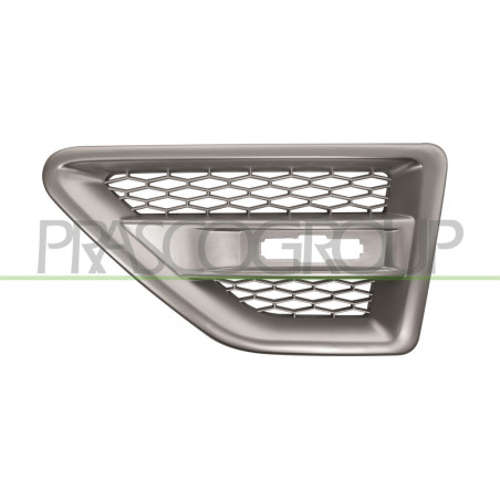 Grille argent d'aile avant côté chauffeur