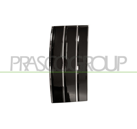 Bandeau noir brillant et chrome de porte avant côté chauffeur