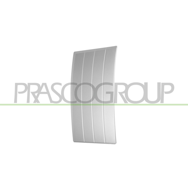 Bandeau de porte avant côté chauffeur