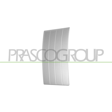 Bandeau de porte avant côté chauffeur