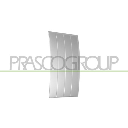 Bandeau de porte avant côté passager