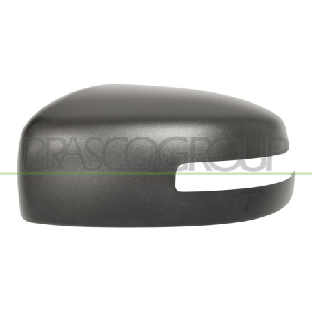 Coque de rétroviseur noir côté chauffeur