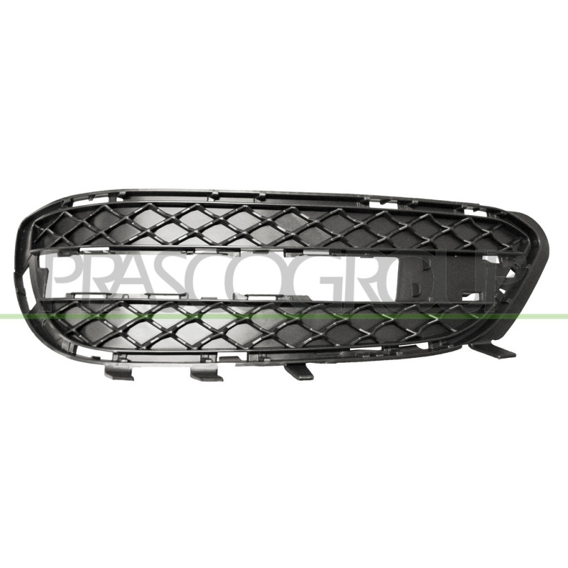 Grille de pare-chocs avant côté chauffeur