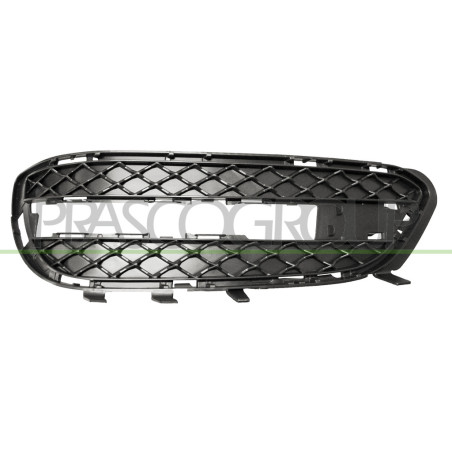 Grille de pare-chocs avant côté chauffeur