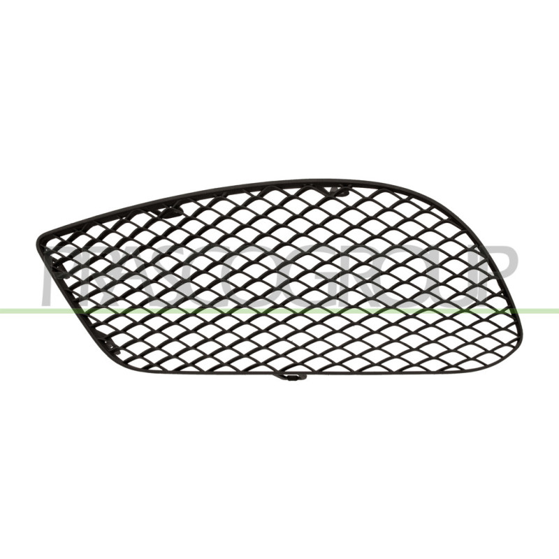Grille de pare-chocs avant côté chauffeur