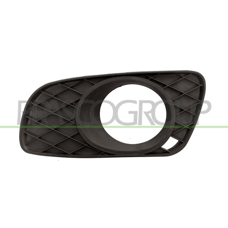 Grille noir de pare-chocs avant côté chauffeur