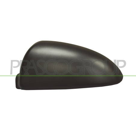 Coque de rétroviseur noir côté chauffeur