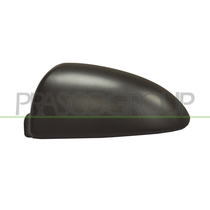 Coque de rétroviseur noir côté chauffeur