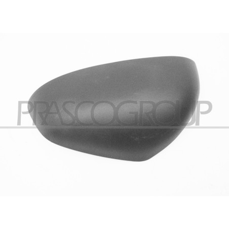 Coque de rétroviseur noir côté chauffeur