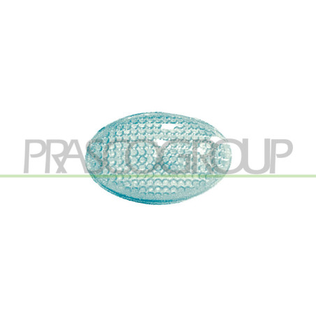 Feu d'aile avant valable côté chauffeur et côté passager