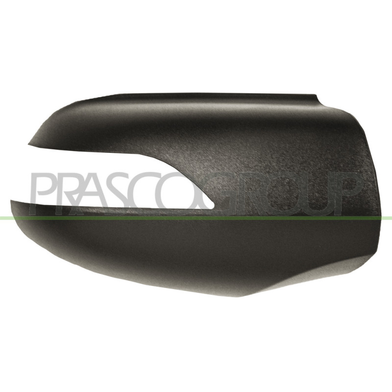 Coque de rétroviseur noir côté chauffeur