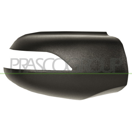 Coque de rétroviseur noir côté chauffeur