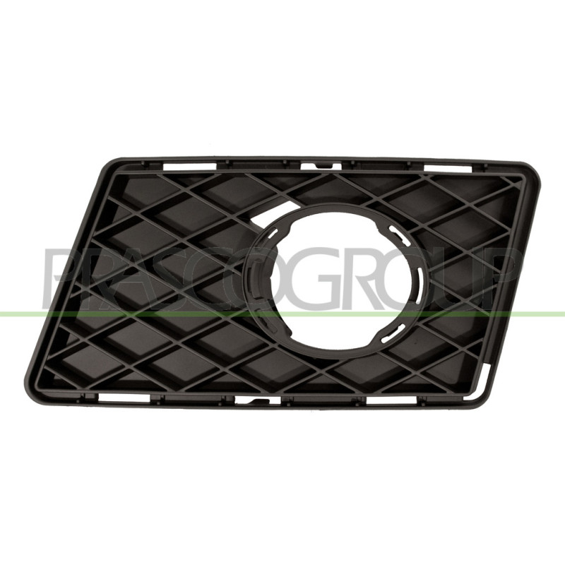 Grille de pare-chocs avant côté chauffeur