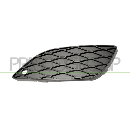 Grille de pare-chocs avant côté chauffeur