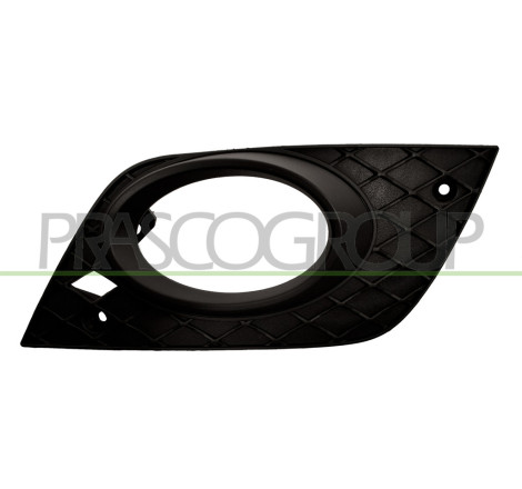 Grille de pare-chocs avant côté chauffeur