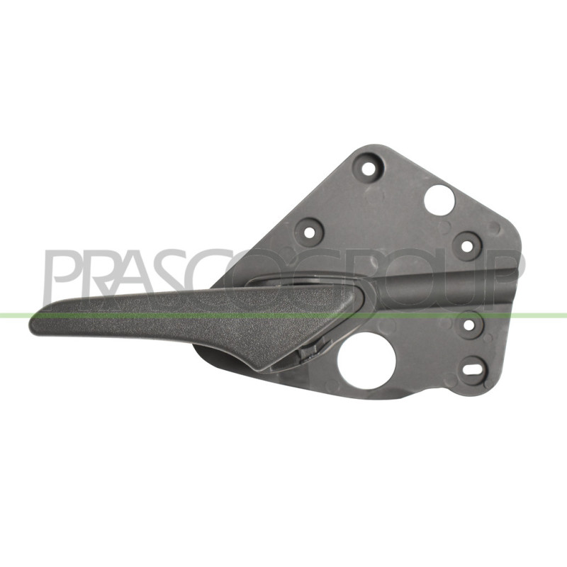 Poignée intérieure noir de porte avant côté chauffeur