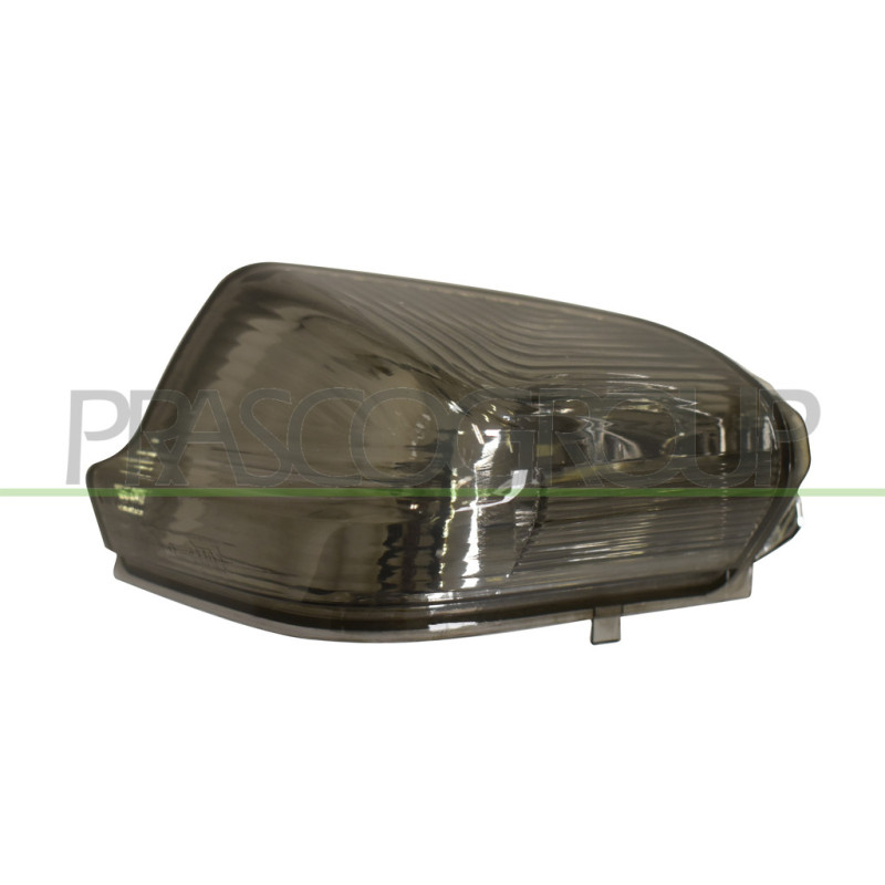 Feu fumé de rétroviseur côté chauffeur