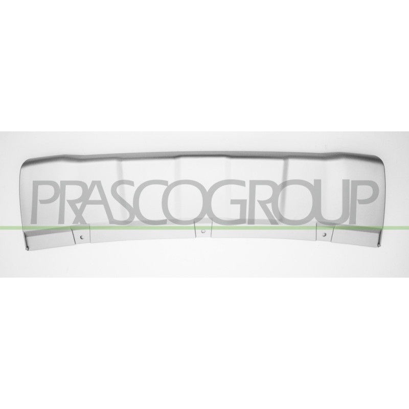 Spoiler central argent de pare-chocs avant