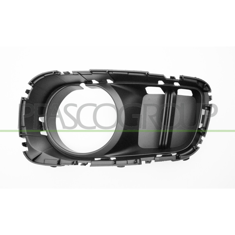 Grille de pare-chocs avant noir côté chauffeur