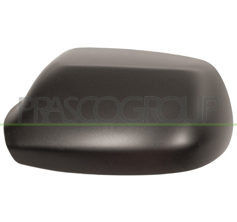 Coque de rétroviseur noir côté chauffeur