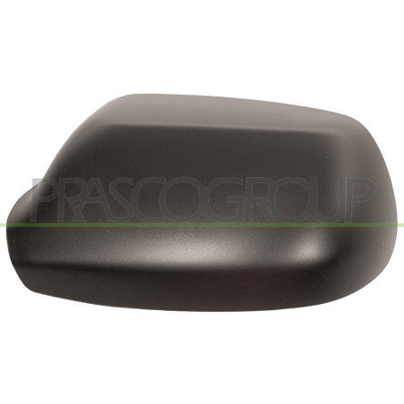 Coque de rétroviseur noir côté chauffeur