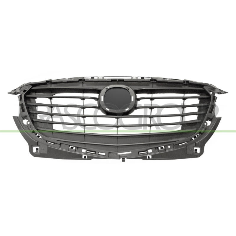 Grille de calandre noir