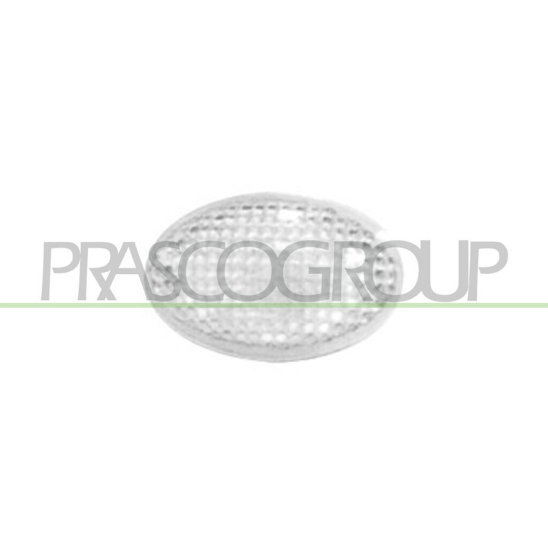 Feu d'aile avant valable côté chauffeur et côté passager