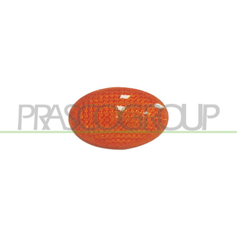 Feu d'aile avant valable côté chauffeur et côté passager