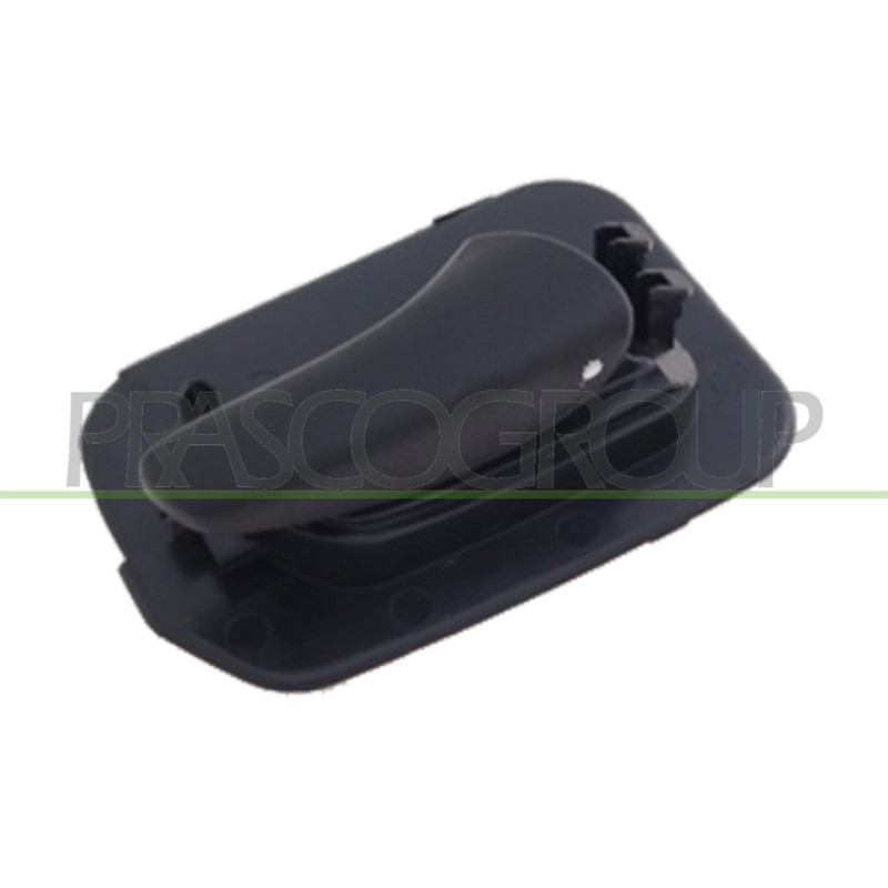 Poignée intérieure noir de porte arrière côté passager