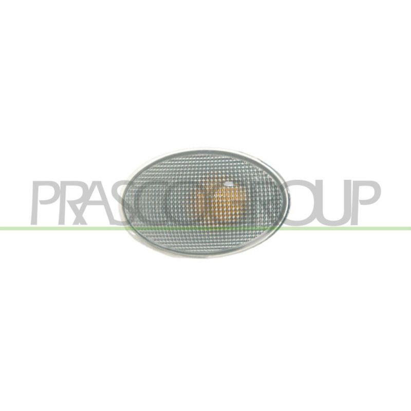 Feu d'aile avant valable côté chauffeur et côté passager