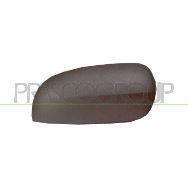 Coque de rétroviseur noir côté passager