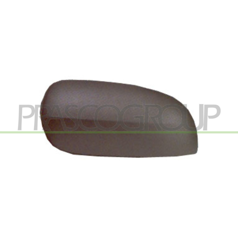 Coque de rétroviseur noir côté chauffeur