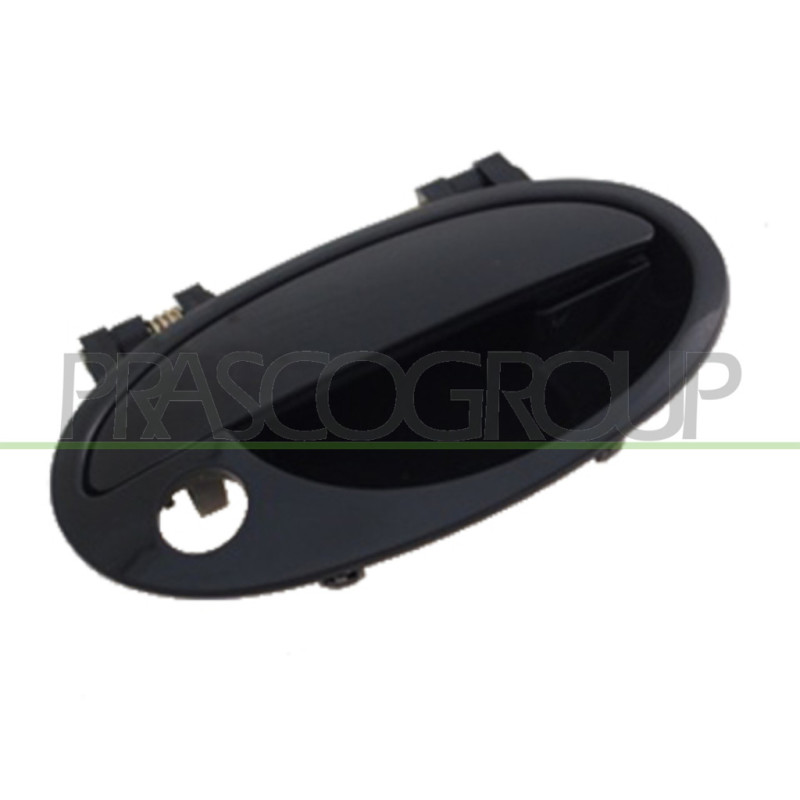 Poignée extérieure noir de porte avant côté passager