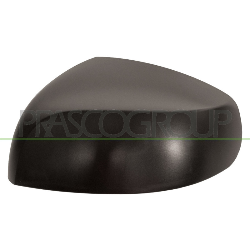 Coque de rétroviseur noir côté chauffeur