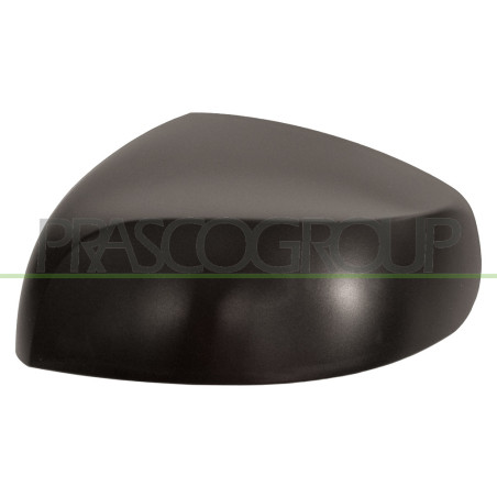 Coque de rétroviseur noir côté chauffeur
