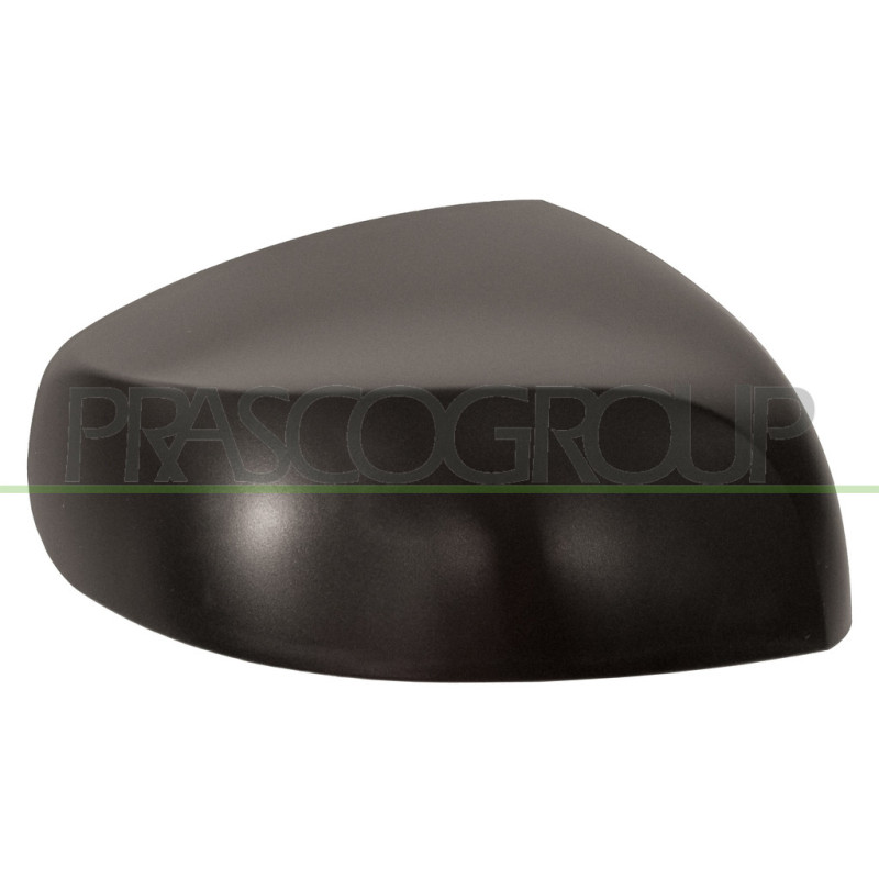 Coque de rétroviseur noir côté passager