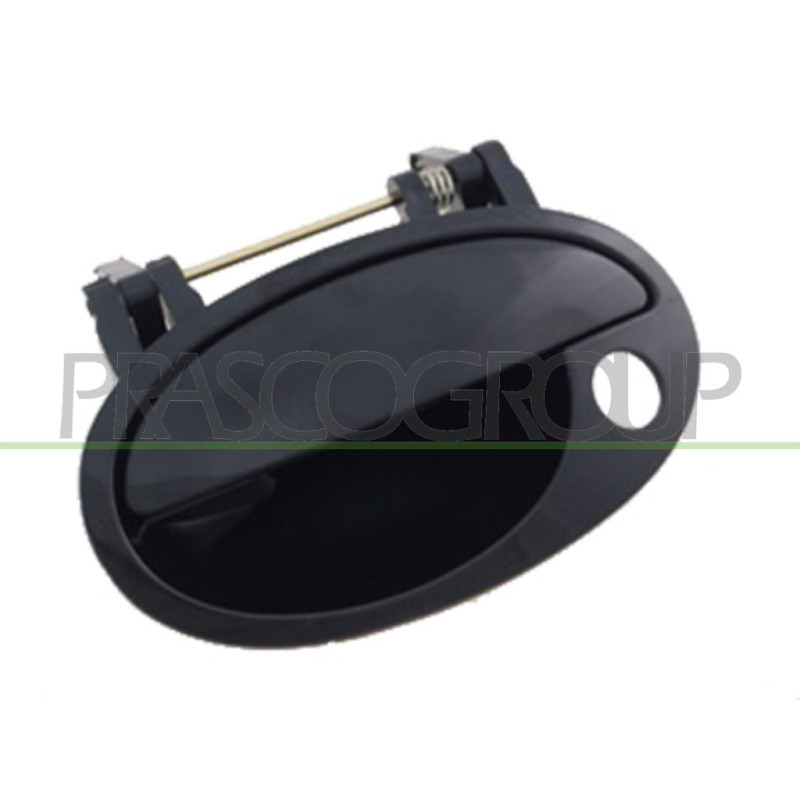 Poignée extérieure noir de porte avant côté chauffeur