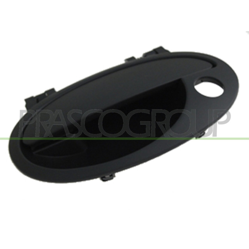 Poignée extérieure noir de porte avant côté chauffeur