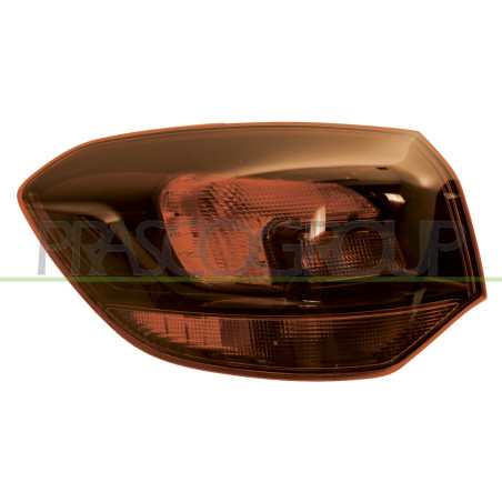 Feu d'aile arrière côté chauffeur