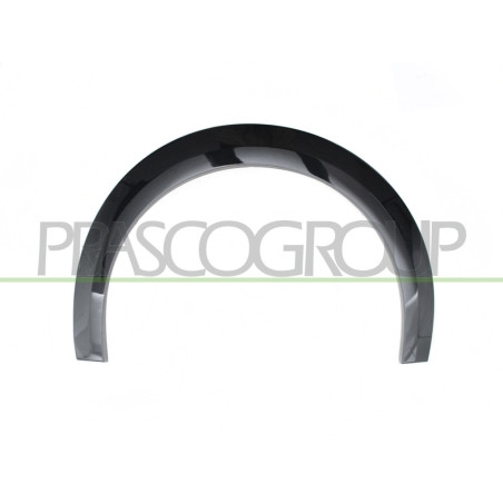 EXTENSION D'AILE ARRIERE GAUCHE-NOIRE BRILLANT