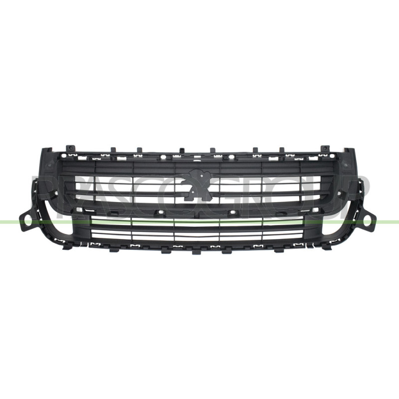 Grille de calandre noir