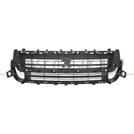 Grille de calandre noir