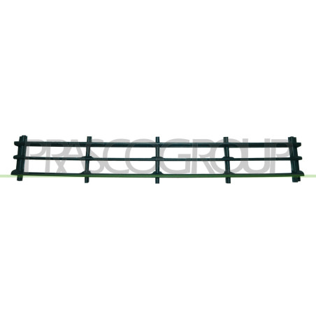 Grille centrale noire de pare-chocs avant