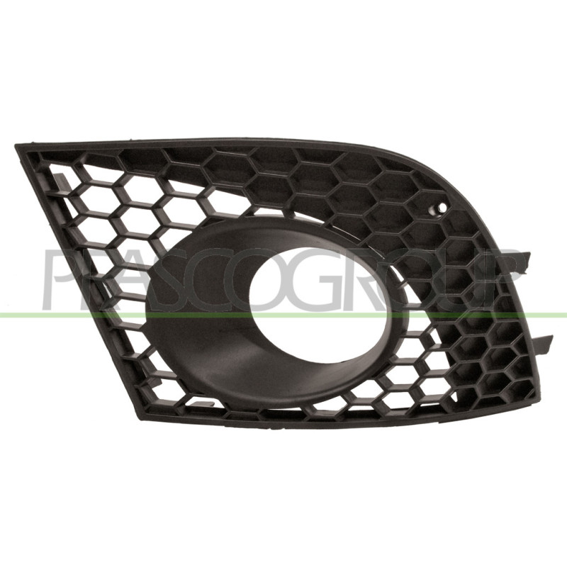 Grille de pare-chocs avant noir côté chauffeur