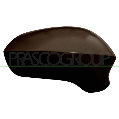 Coque de rétroviseur noir côté passager