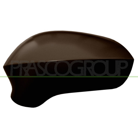 Coque de rétroviseur noir côté chauffeur