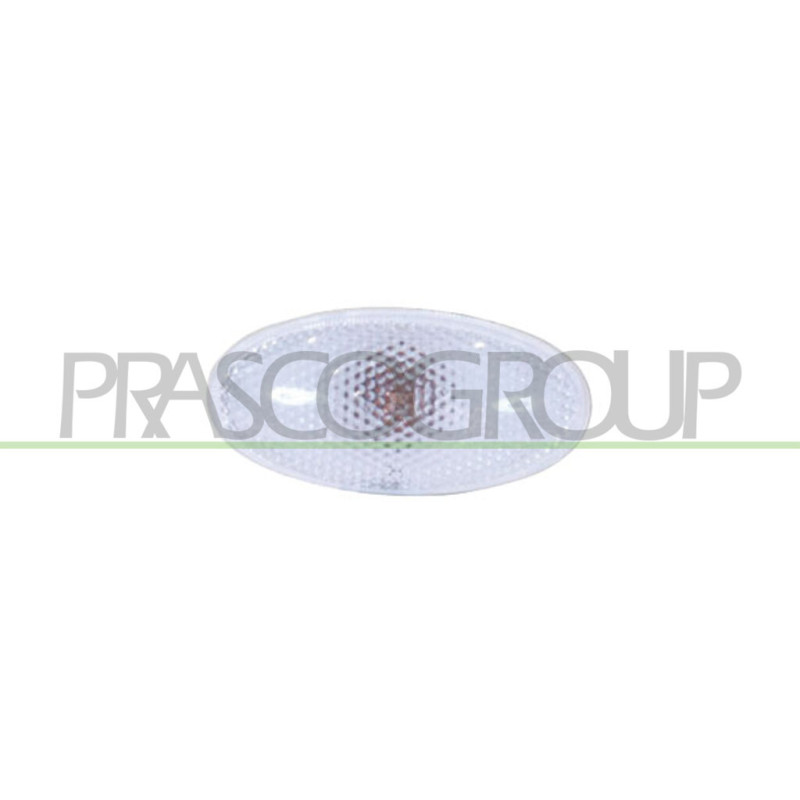 Feu d'aile avant valable côté chauffeur et côté passager